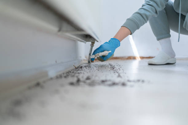 Best Pest Prevention Services  in Battlefield, MO